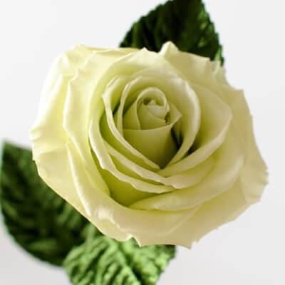 プリザーブドフラワー 1輪のバラ プリザーブドフラワー 水やり不要で