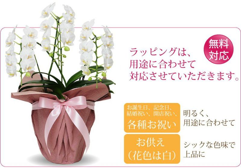 すずらんフレーム 売却済み 【公式通販】