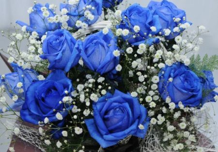 青いバラ12本のアレンジメント 季節のイベント特集 | エーデルワイス