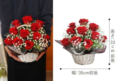 赤いバラ 12本のアレンジメント 花束・ブーケ | エーデルワイス