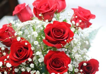 赤いバラ 12本のアレンジメント 花束・ブーケ | エーデルワイス【花の