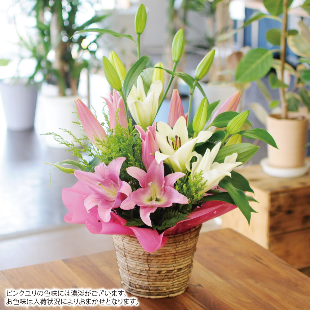 ユリのアレンジメント ユリーナ 母の日に贈る花 | エーデルワイス【花