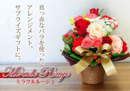 赤いバラのアレンジメント ミラクルルージュと常陸野ネストビール 飲み