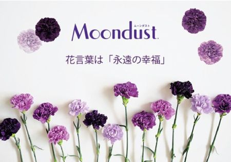Amazon｜誕生日 花 プレゼント 花工房フラワーギフト ムーン
