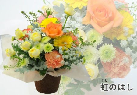 コリアグランドセール ペットのお供えアレンジメント 虹のはし 仏事用 Mサイズ 花・観葉植物