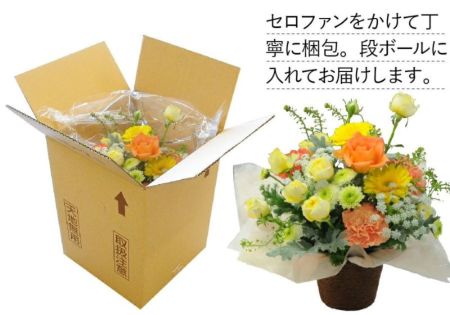 【冬バーゲン★】 ペットのお供えアレンジメント 仏事用 Mサイズ 虹のはし 花・観葉植物