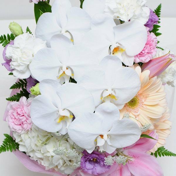 お供え用 胡蝶蘭の洋風アレンジメント フラワーアレンジメント