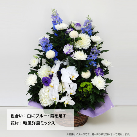 蘭のお供えアレンジメント2Lサイズ お供えの花・お悔やみの花(法要