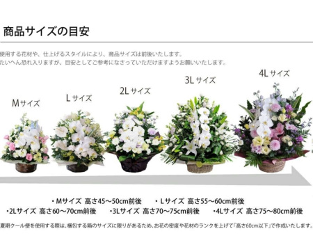 蘭のお供えアレンジメント4Lサイズ お供えの花・お悔やみの花