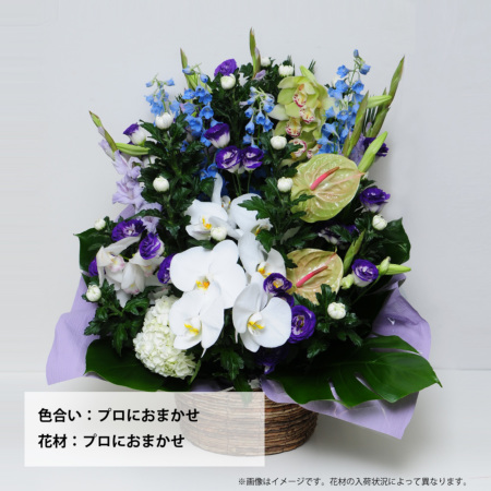 蘭のお供えアレンジメント4Lサイズ お供えの花・お悔やみの花
