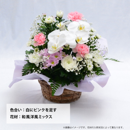 蘭のお供えアレンジメントMSサイズ お供えの花・お悔やみの花