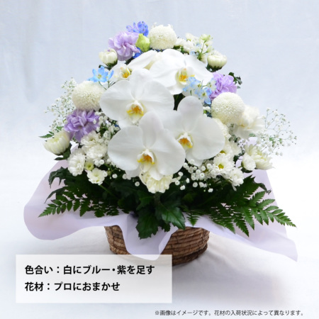 蘭のお供えアレンジメントMSサイズ お供えの花・お悔やみの花