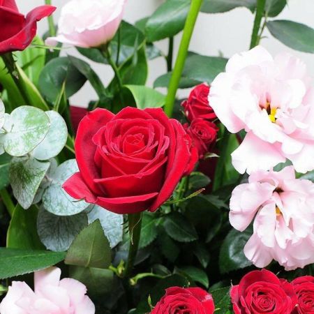 フラワーアレンジメント レッドダイヤモンド 2Lサイズ バラ(薔薇