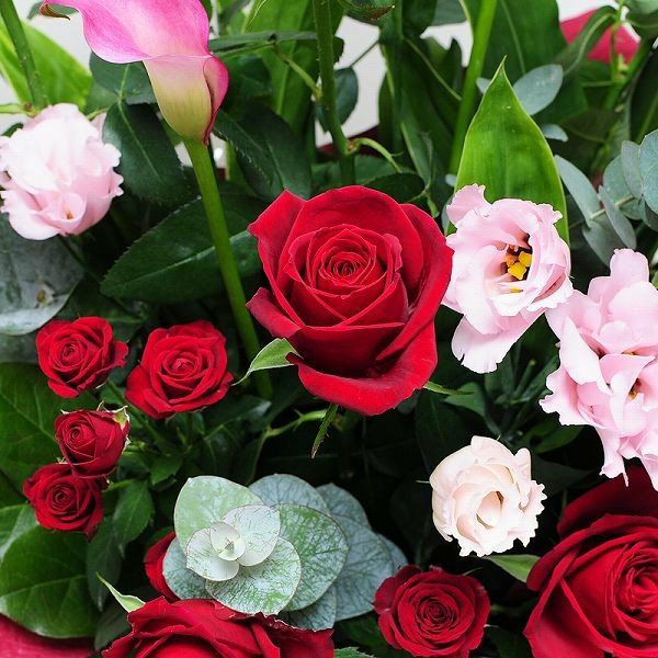 フラワーアレンジメント レッドダイヤモンド Lサイズ バラ(薔薇・ばら
