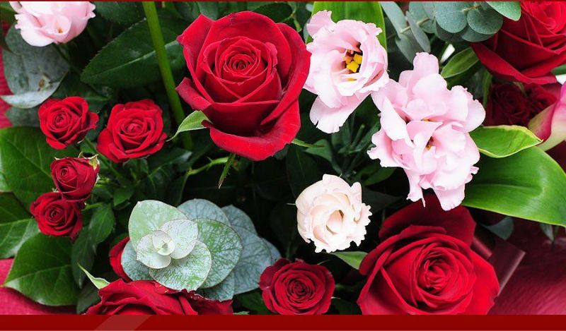 フラワーアレンジメント レッドダイヤモンド Lサイズ バラ(薔薇・ばら