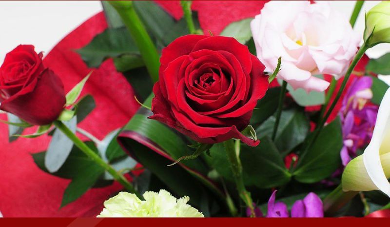 フラワーアレンジメント レッドダイヤモンド Mサイズ バラ(薔薇・ばら