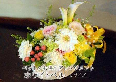 ペットのお供えアレンジメント 虹のはし Mサイズ 仏事用