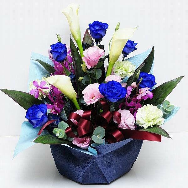 �u���[�_�C�������h