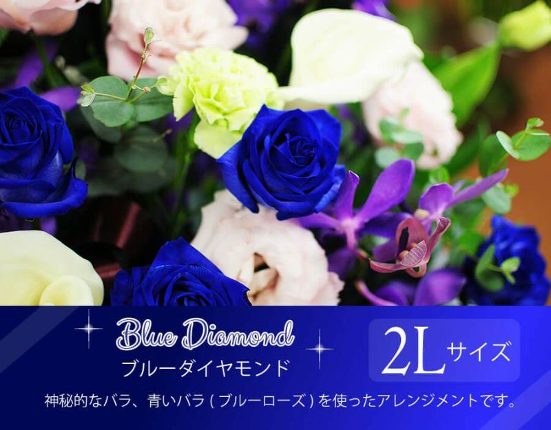 青い薔薇 様@AF x 2 & Swippy Wax Light