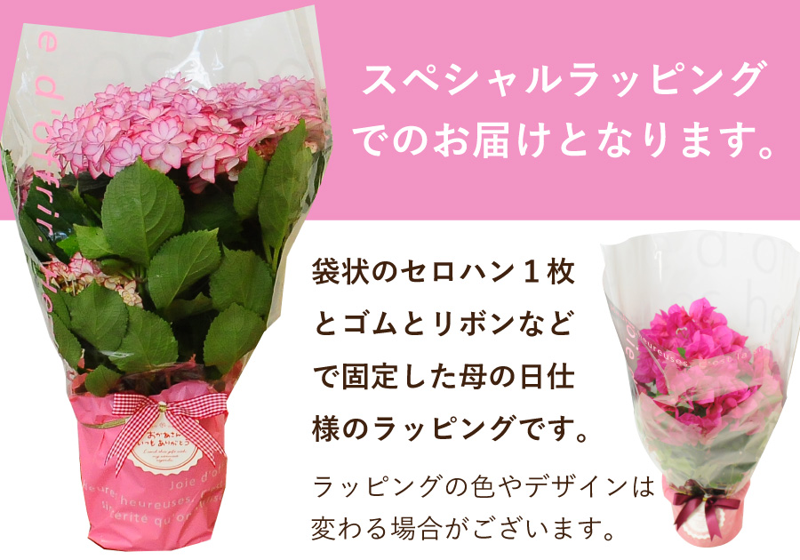 ̓bsO