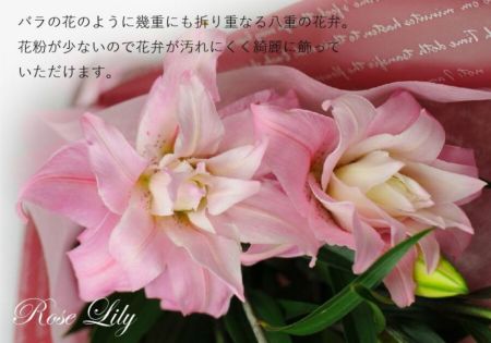 八重ピンクユリ15輪の花束 ユリ(百合)の花(白いユリ・ピンクユリ 八重ピンクユリ15輪の花束 ユリ(百合)の花(白いユリ・ピンクユリ