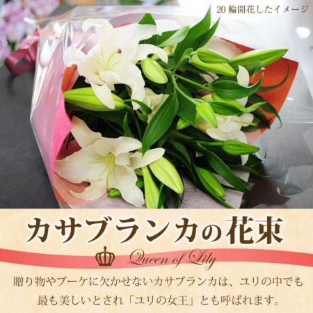 カサブランカの花束 ユリ(百合)の花(白いユリ・ピンクユリ・カサブランカ) | エーデルワイス【花の贈り物】 フラワーギフト通販 花宅配 水戸市