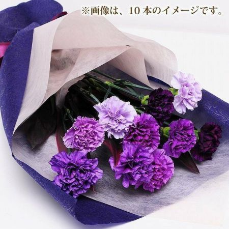 青いカーネーション カーネーション「ブルーミックス」 | tokyo_shokubutsu_zufu