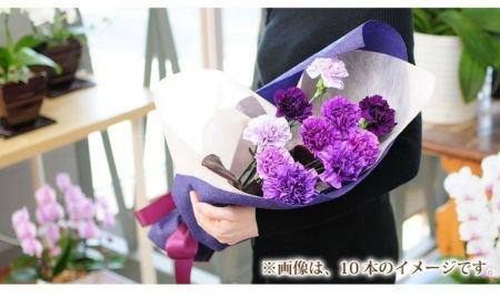 青いカーネーション ムーンダスト12本の花束 ムーンダスト 世界