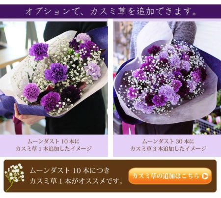 青いカーネーション ムーンダスト12本の花束 ムーンダスト 世界