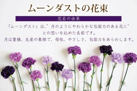 青いカーネーション　ホワイト 青いカーネーション ムーンダスト30本の花束 ムーンダスト 世界