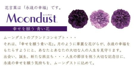 本数指定 青いカーネーション ムーンダストの花束 ムーンダスト