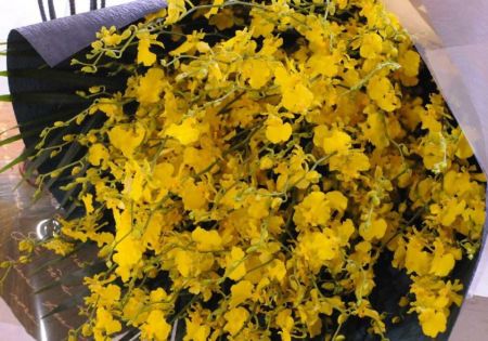 オンシジューム(オンシジウム)の花束 花束・ブーケ オンシジューム(オンシジウム)の花束 花束・ブーケ