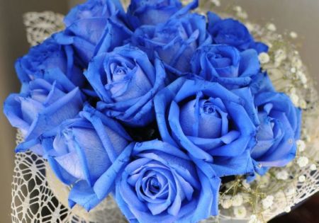 そのまま飾れる不思議なブーケ 青いバラ12本のブーケ 花束 