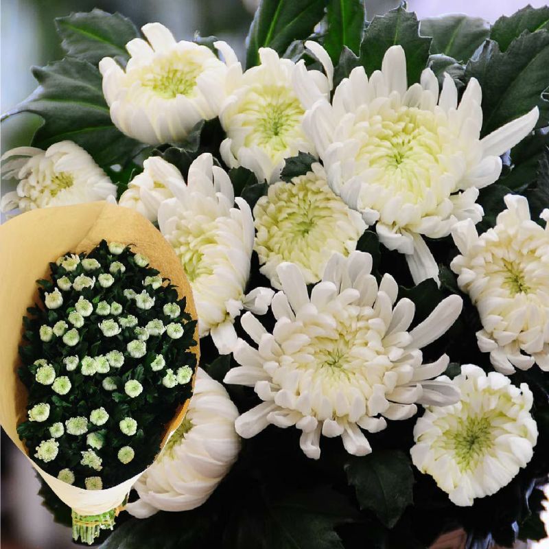 お彼岸・お盆のお墓参りに、法事法要や仏壇にお供えするお花として  