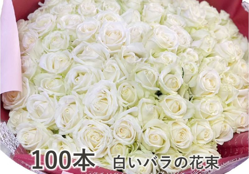 白いバラ100本の花束 バラ100本の花束 | エーデルワイス【花の贈り物