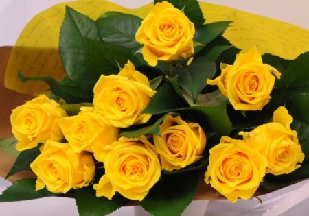 しあわせの黄色い薔薇「輝」24本・特別なギフト しあわせの黄色い薔薇「輝」24本・特別なギフト