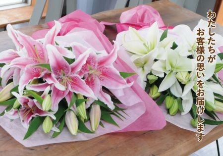 百合の花 バレーゼVarese鉄砲百合レビュー香りが爽やか【新品種】