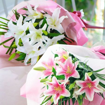 白・ピンク百合の花束15輪以上 ユリ(百合)の花(白いユリ・ピンクユリ