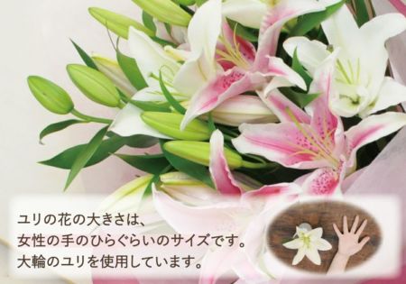 【77】生花　ユリ　八重咲き　2MIX 紅白　切り花　アレンジ　花束　贈答　百合 八重ピンクユリ10輪の花束 ユリ(百合)の花(白いユリ・ピンクユリ