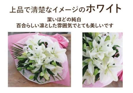 白・ピンク百合の花束20輪以上 ユリ(百合)の花(白いユリ