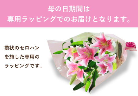 白・ピンク百合の花束20輪以上 ユリ(百合)の花(白いユリ