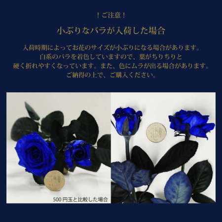 青いバラ ブルーローズ10本の花束 青い薔薇(バラ) ブルーローズの花束