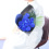 ԃC[W
