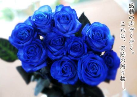 Blue薔薇様のorderのお品です。 青いバラ ブルーローズ40本の花束 青い薔薇(バラ) ブルーローズ