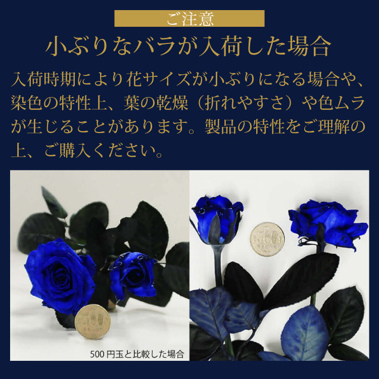 青いバラ ブルーローズ5本の花束 青い薔薇(バラ) ブルーローズの花束