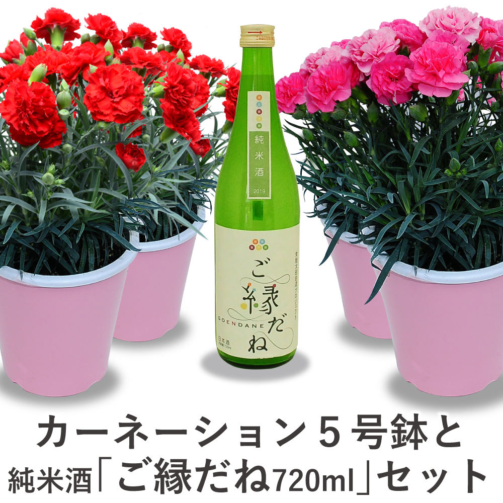日本酒セット