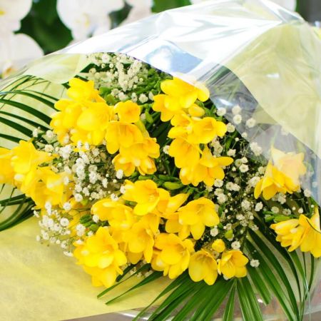 フリージアの花束 Lサイズ 春の花贈り | エーデルワイス【花の贈り物