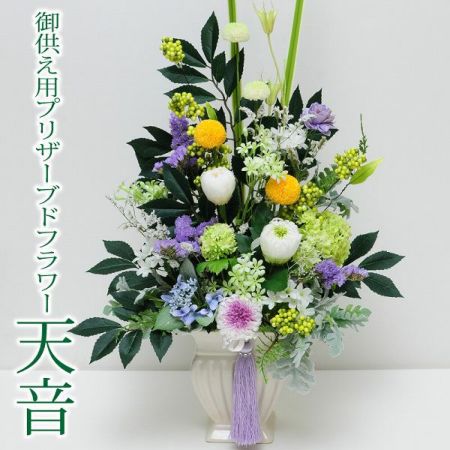 ԃC[W