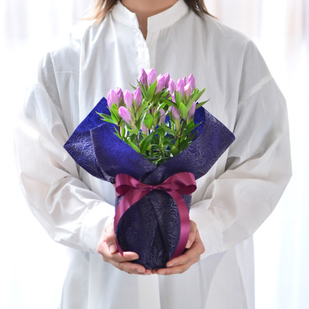 睡蓮鉢、富貴満堂、　引取り限定日曜祝 敬老の日 リンドウの鉢植え 4号鉢 りんどう 敬老の日に贈る花