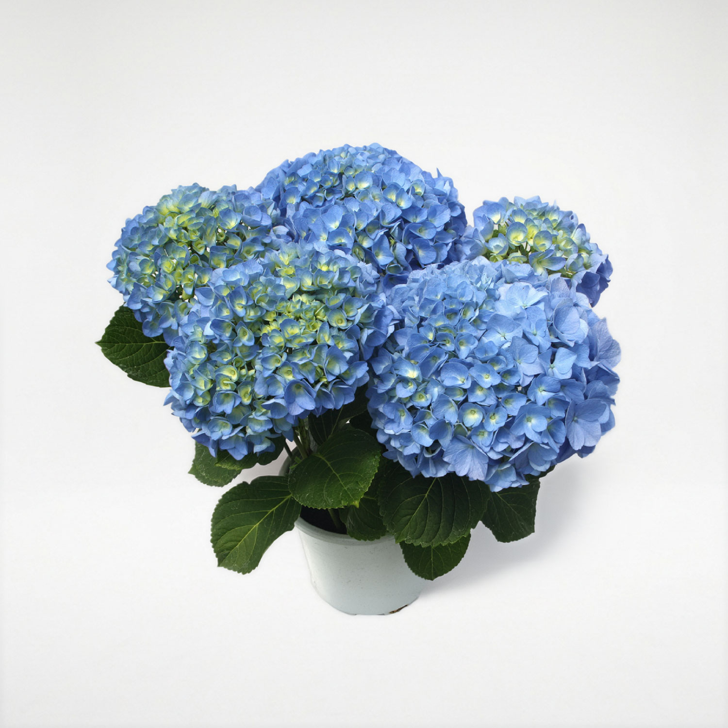 ���ԃC���[�W